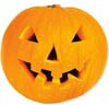jack-o-lantern pumpkin